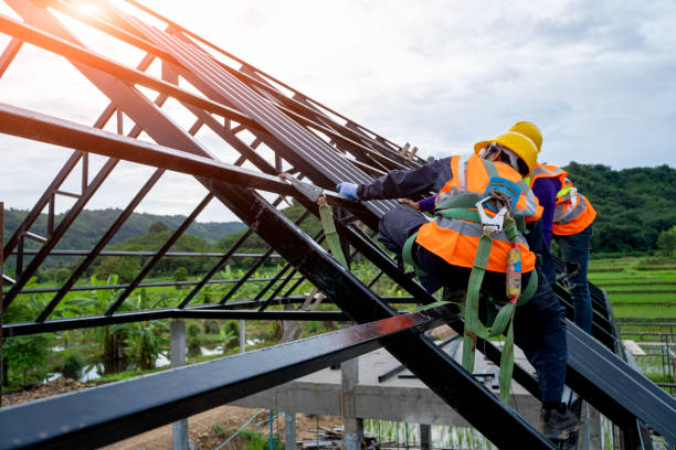 Best Gutter Installation and Roofing  in Cedar Bluff, VA