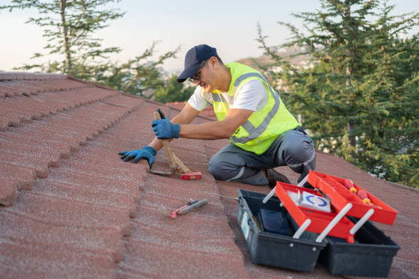 Best Roof Waterproofing Services  in Cedar Bluff, VA